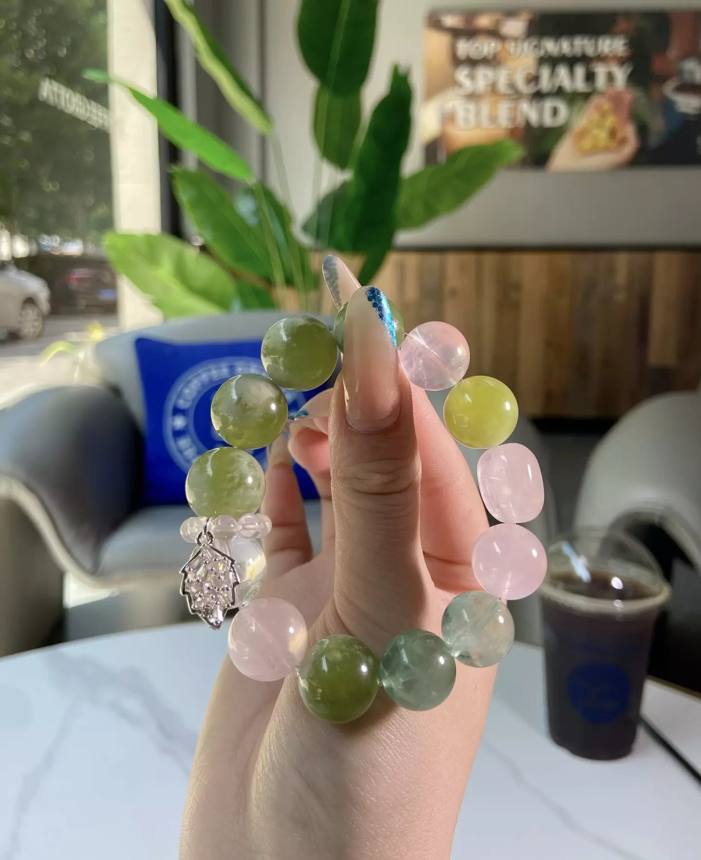 Starfall Pink Begonia