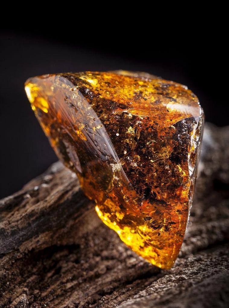 Amber: The Golden Miracle of Ancient Resin — A Sun-Drenched Amulet for the Soul