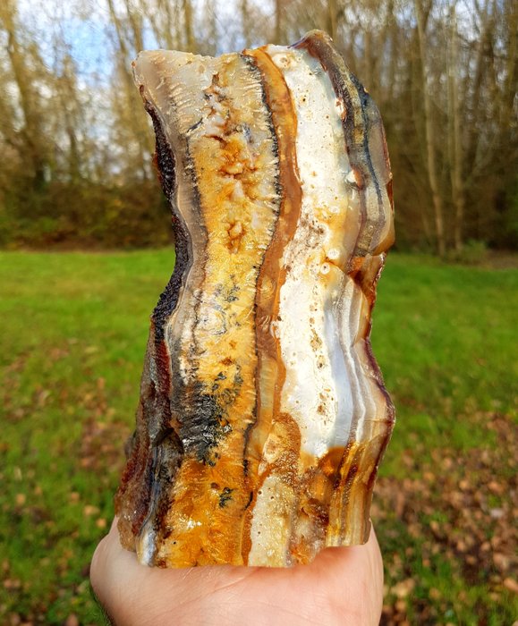 Soul of the Forest: The Ultimate Energy Guide to Dendritic Agate