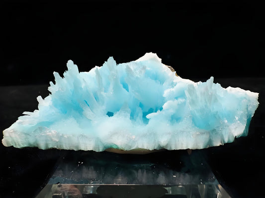 Ocean of Serenity: The Ultimate Guide to Blue Aragonite — Finding Peace and Renewed Hope