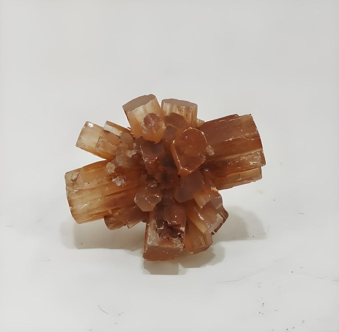 Aragonite: The Anchor of Stability and Your Spiritual Shield Against Anxiety