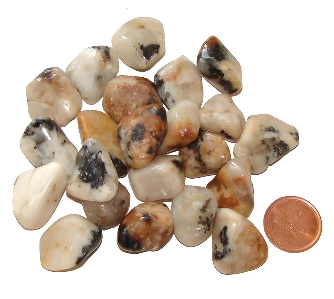 Deep Dive into Cassiterite: The Ultimate Anchor for Manifestation and Grounding
