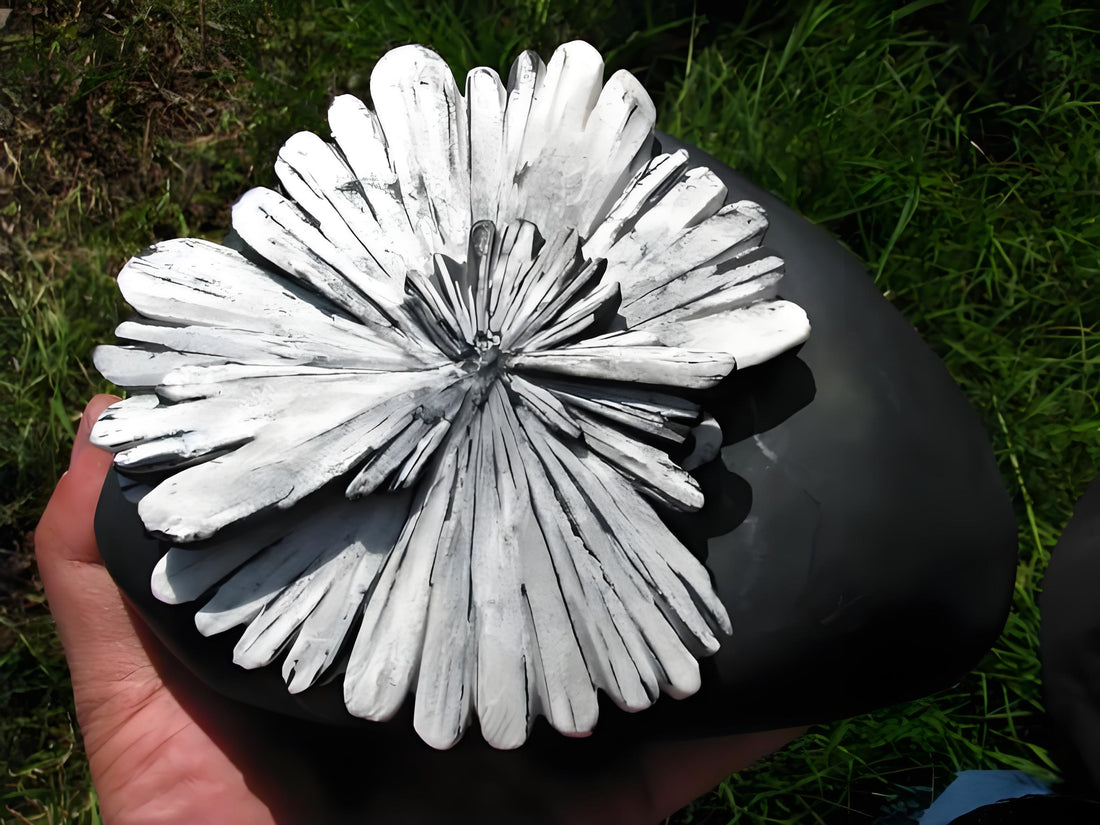 The Eternal Bloom: The Ultimate Guide to Chrysanthemum Stone