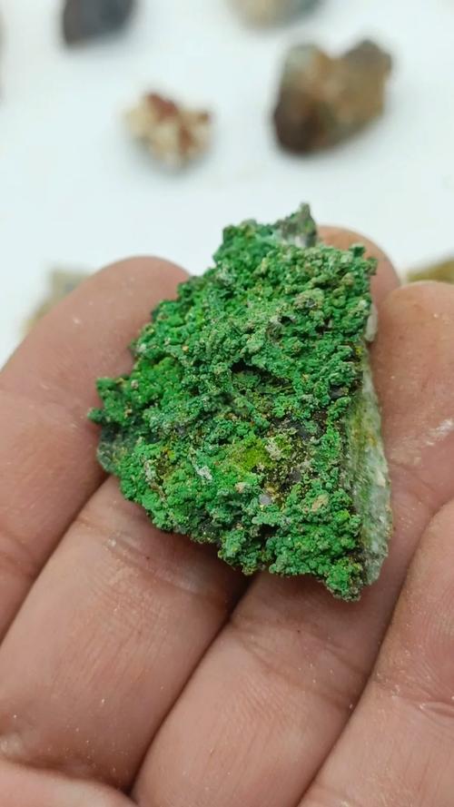 A Window to Mother Nature’s Healing: The Ultimate Guide to Conichalcite