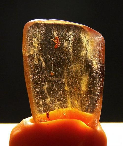 Liquid Sunshine: The Ultimate Guide to Copal