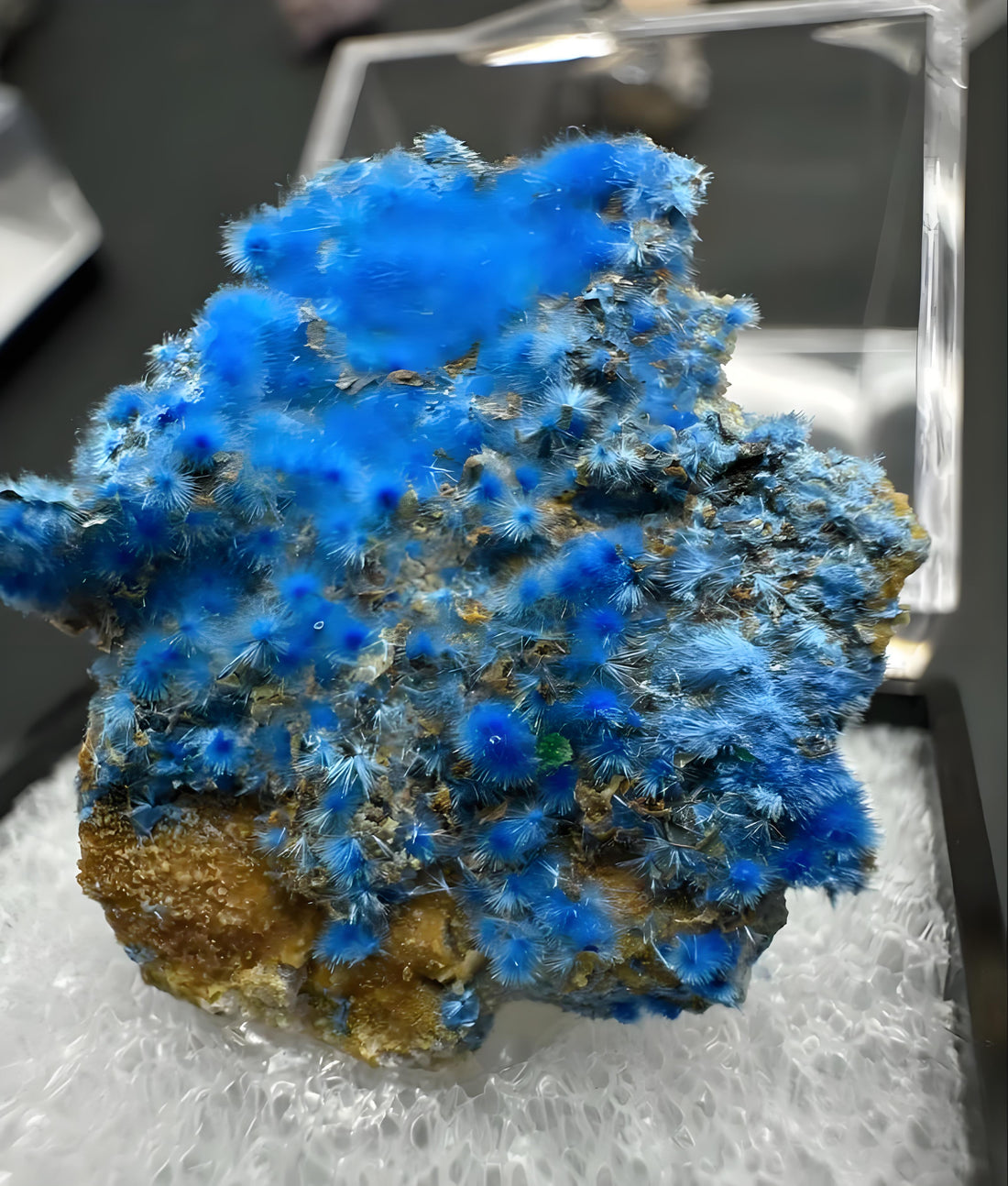 The Blue Velvet of the Mineral Kingdom: The Ultimate Guide to Cyanotrichite