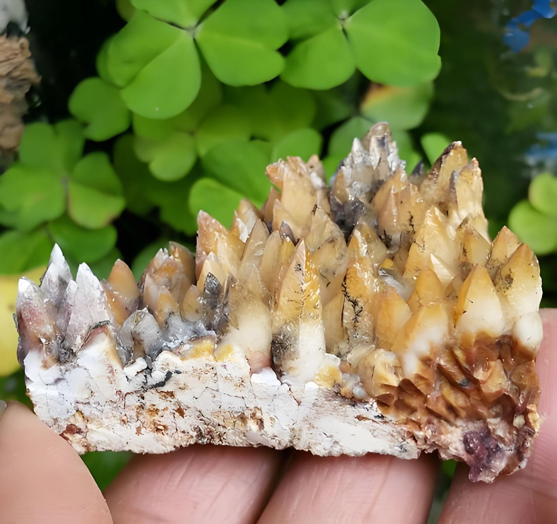 Fang of the Earth: The Ultimate Guide to Dogtooth Calcite