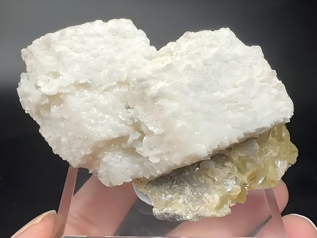The Gentle Nurturer: The Ultimate Guide to Dolomite