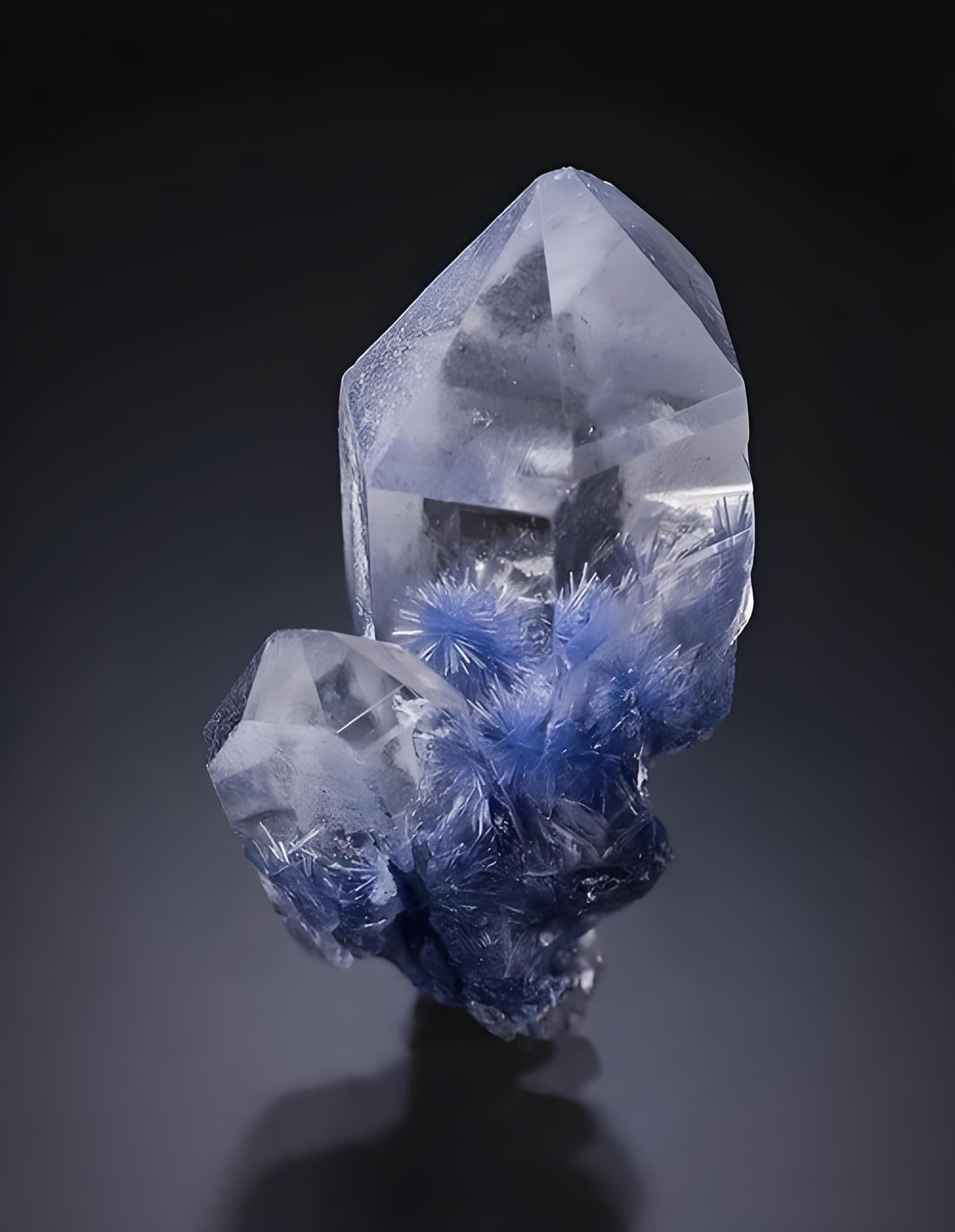 The Navigator of Wisdom &amp; Discipline: The Ultimate Guide to Dumortierite