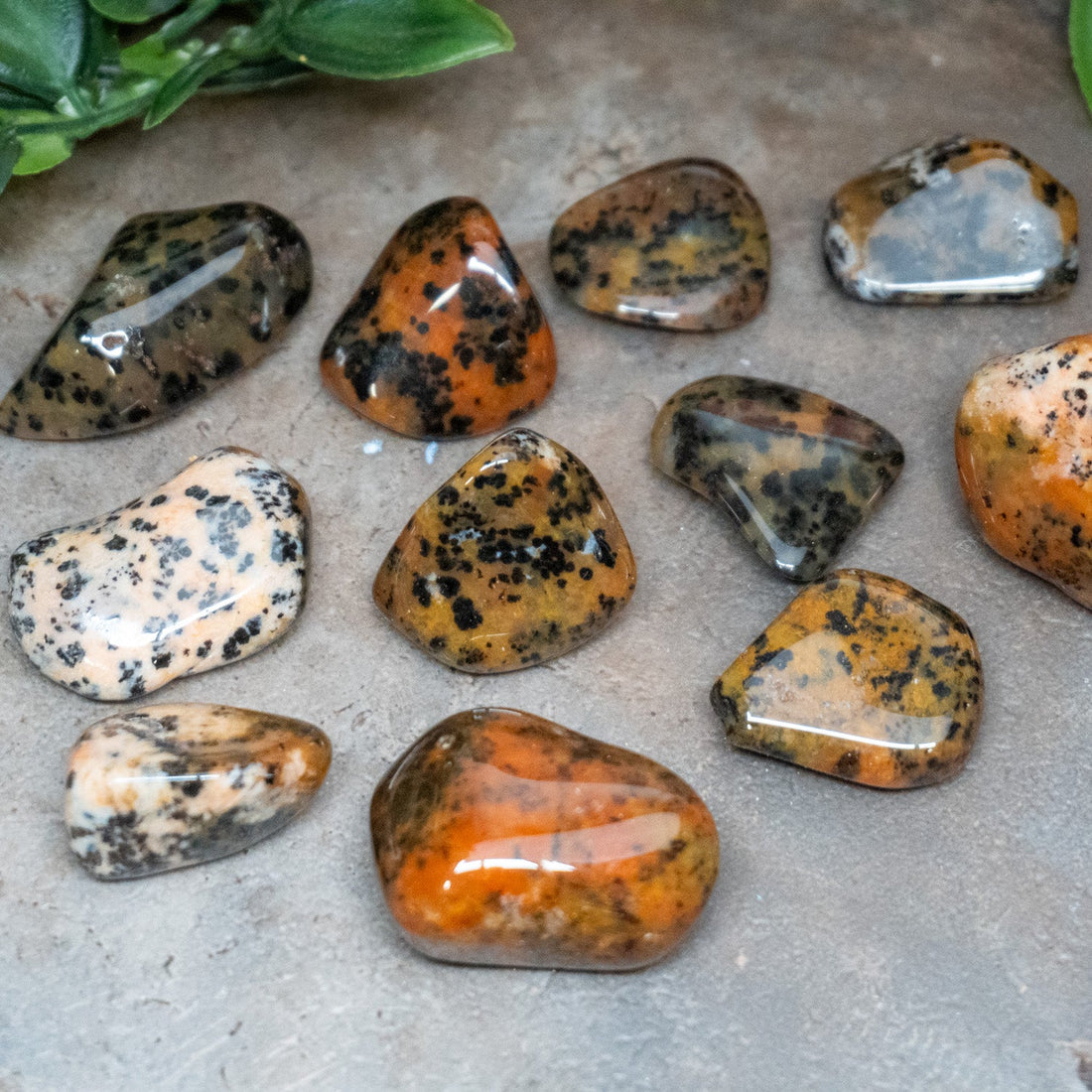 Unleash Your Inner Hunter: The Ultimate Guide to Cheetah Agate