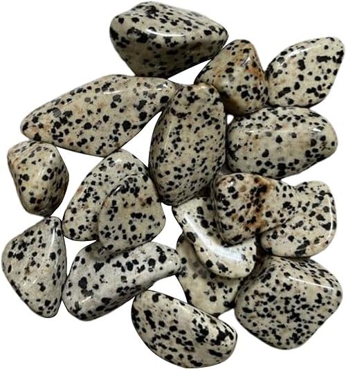 Awaken Your Inner Child: The Ultimate Guide to Dalmatian Stone