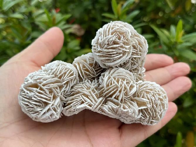Eternal Bloom of the Barren: The Ultimate Guide to Desert Rose Selenite