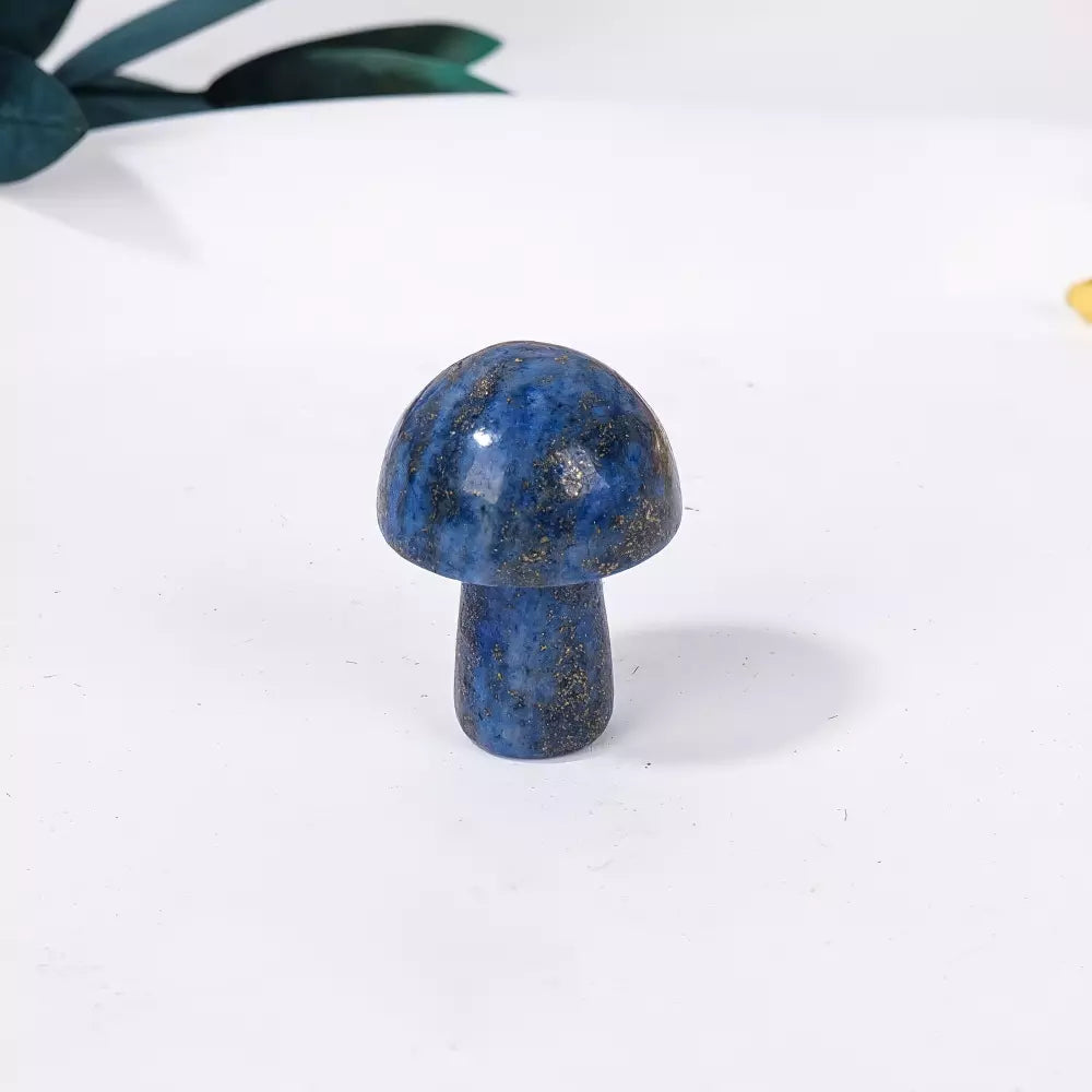 ALL Crystal Mini Mushroom🍄