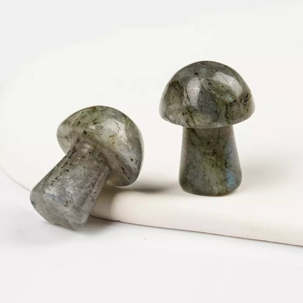 ALL Crystal Mini Mushroom🍄