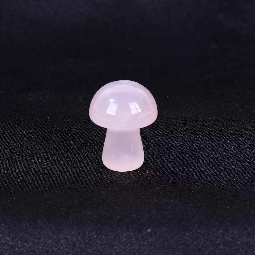 ALL Crystal Mini Mushroom🍄